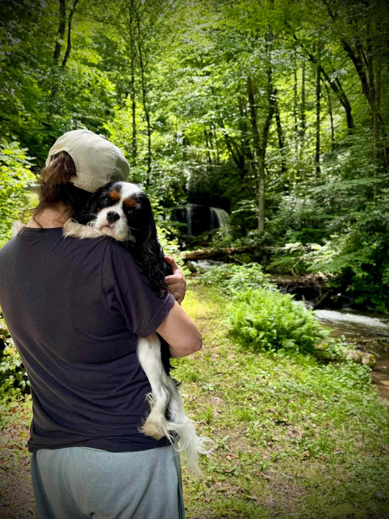 Cherokee Waterfall Campground