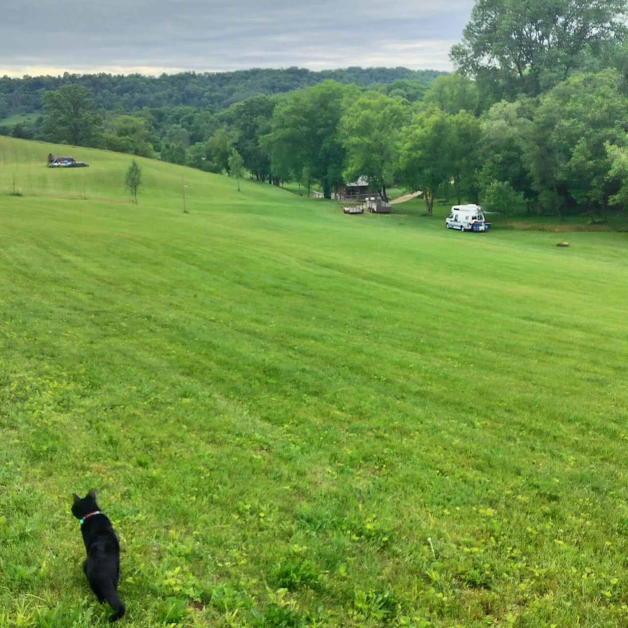 Larryfest Campground