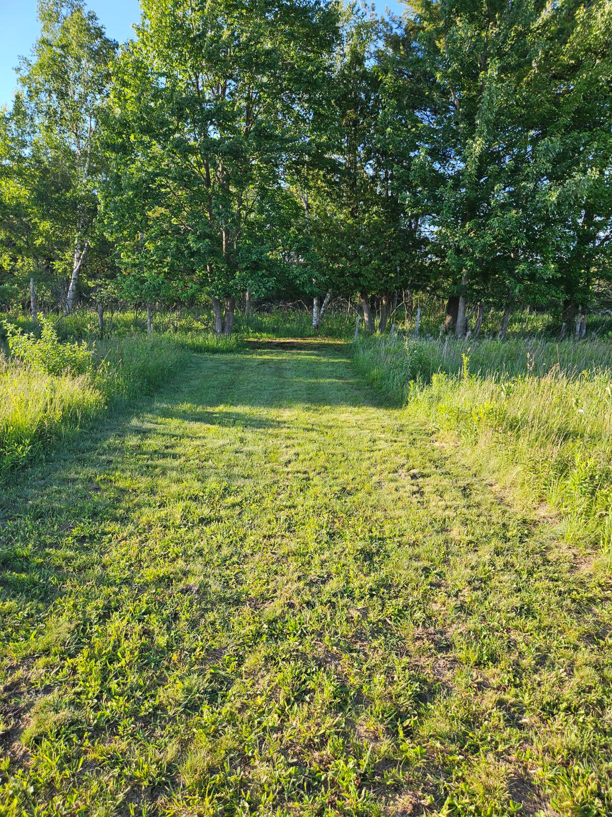 Manistee River Farms