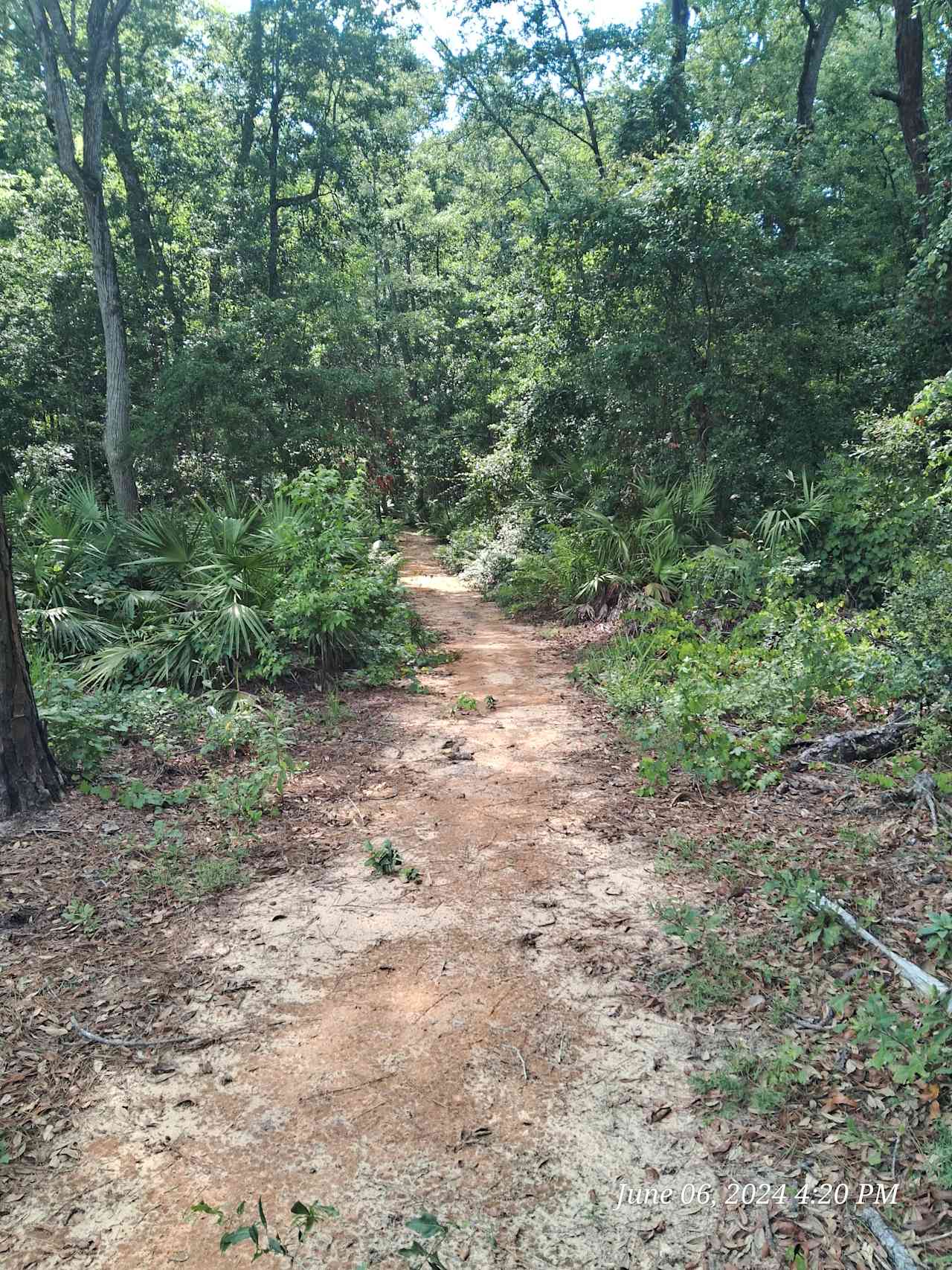 Her Spot Near Ocala National Forest