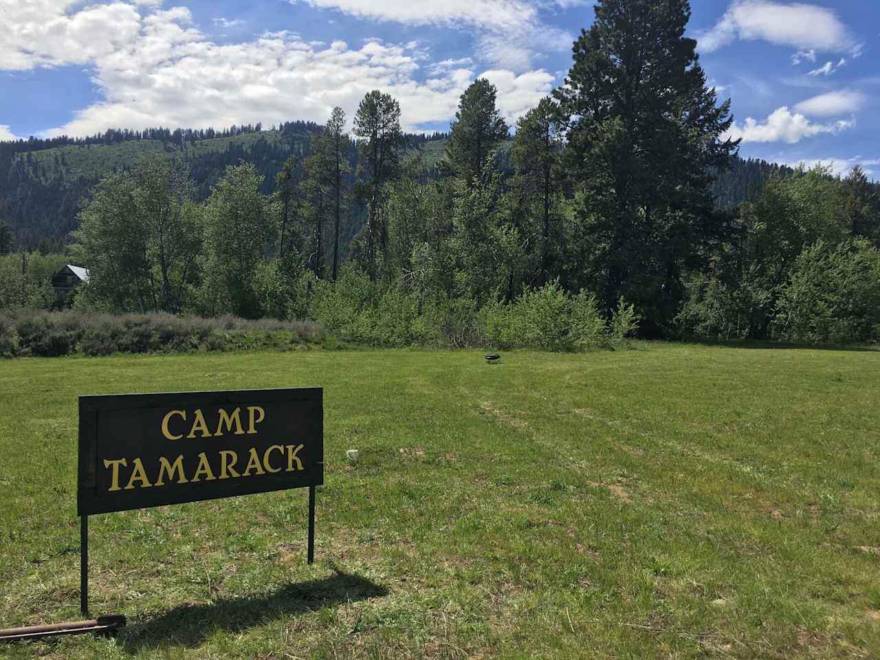 Camp Tamarack