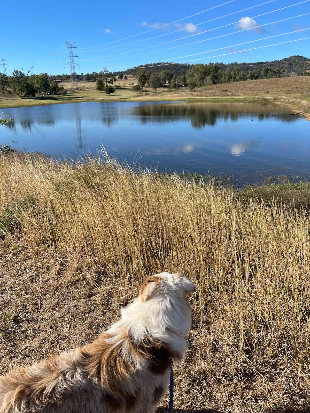 ‘Em ‘N’ Jay Farmstay