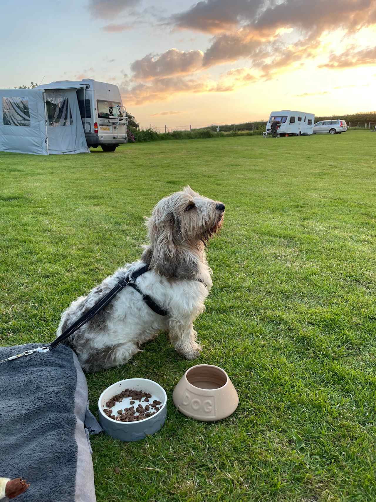 Ivy Cottage Caravan Park