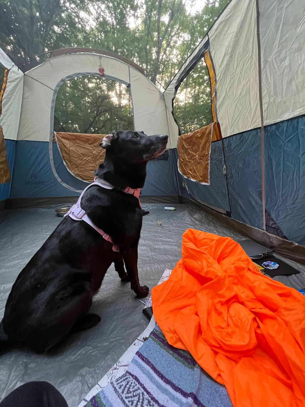 Ted & Tracy's RV Campground