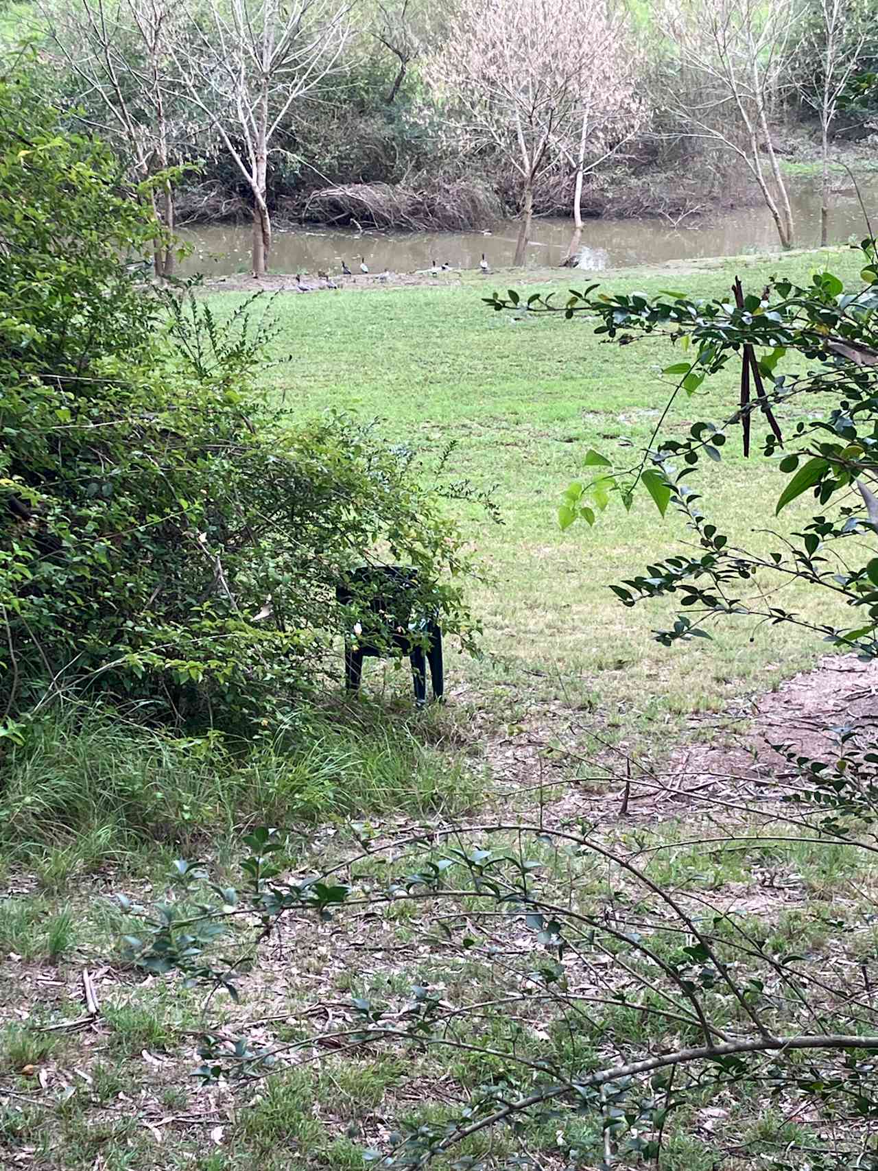 Camp By The Creek @ Nth Kellyville