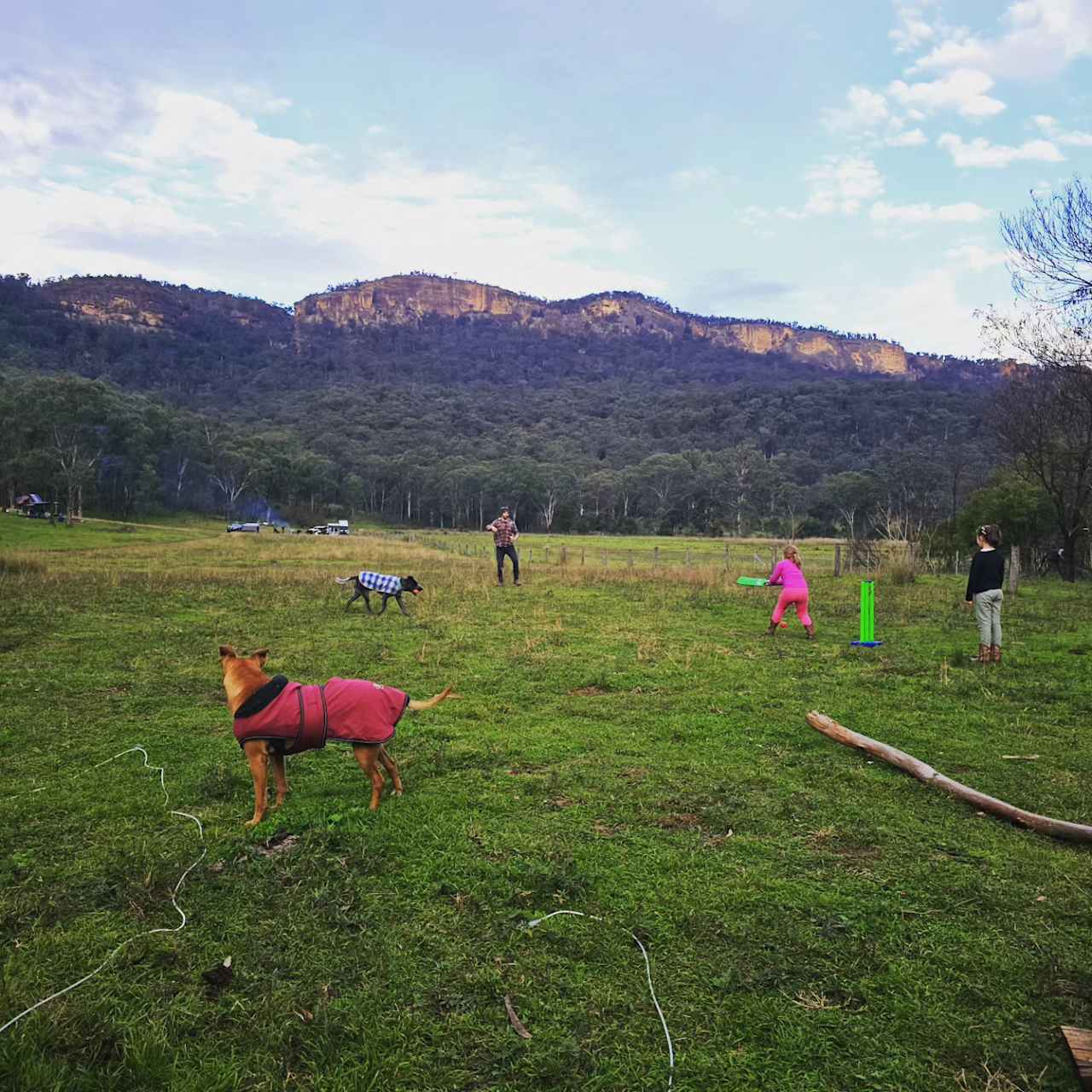 The Nile Off Grid family farm