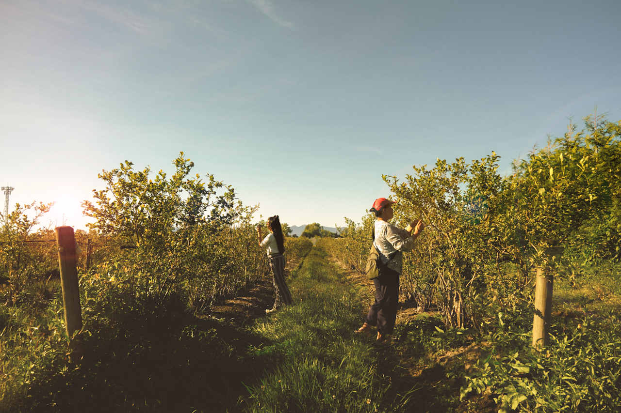 Blueberry picking! Very private and quiet. We had the place for ourselves.