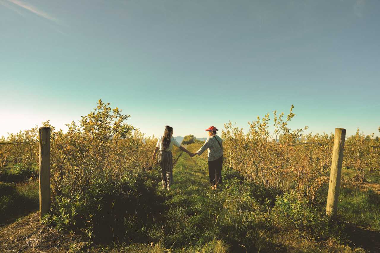 City Blueberry Farm is the best place away from the city but close enough to get away and spend time with family.