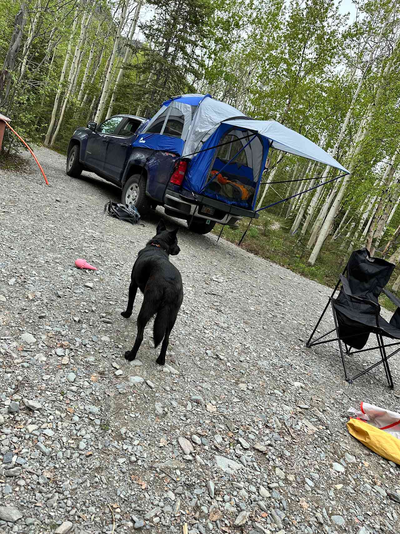 The Raven's Den of the Chugach