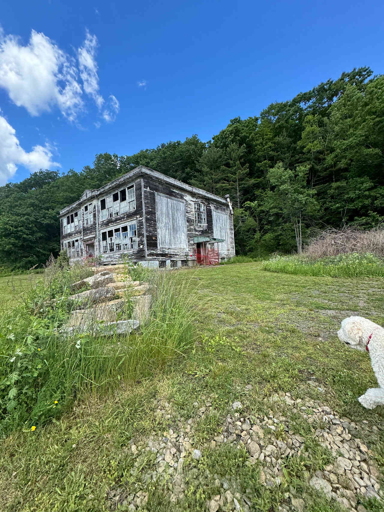 Abandoned School