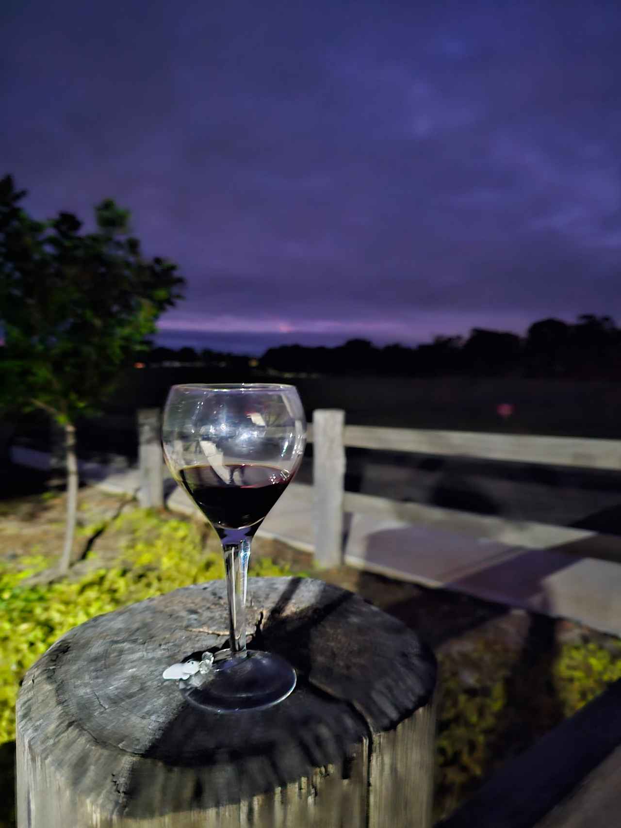 Binet Family Wines at Pokolbin Hill