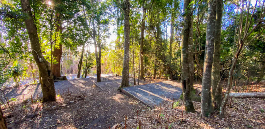 Binna Burra Lodge