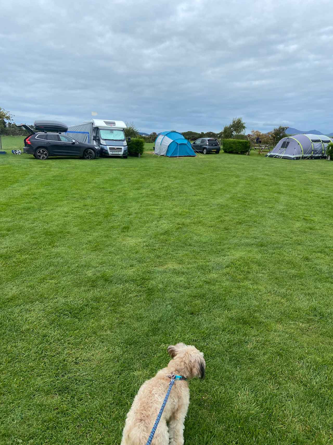 Bolmynydd Camping Park