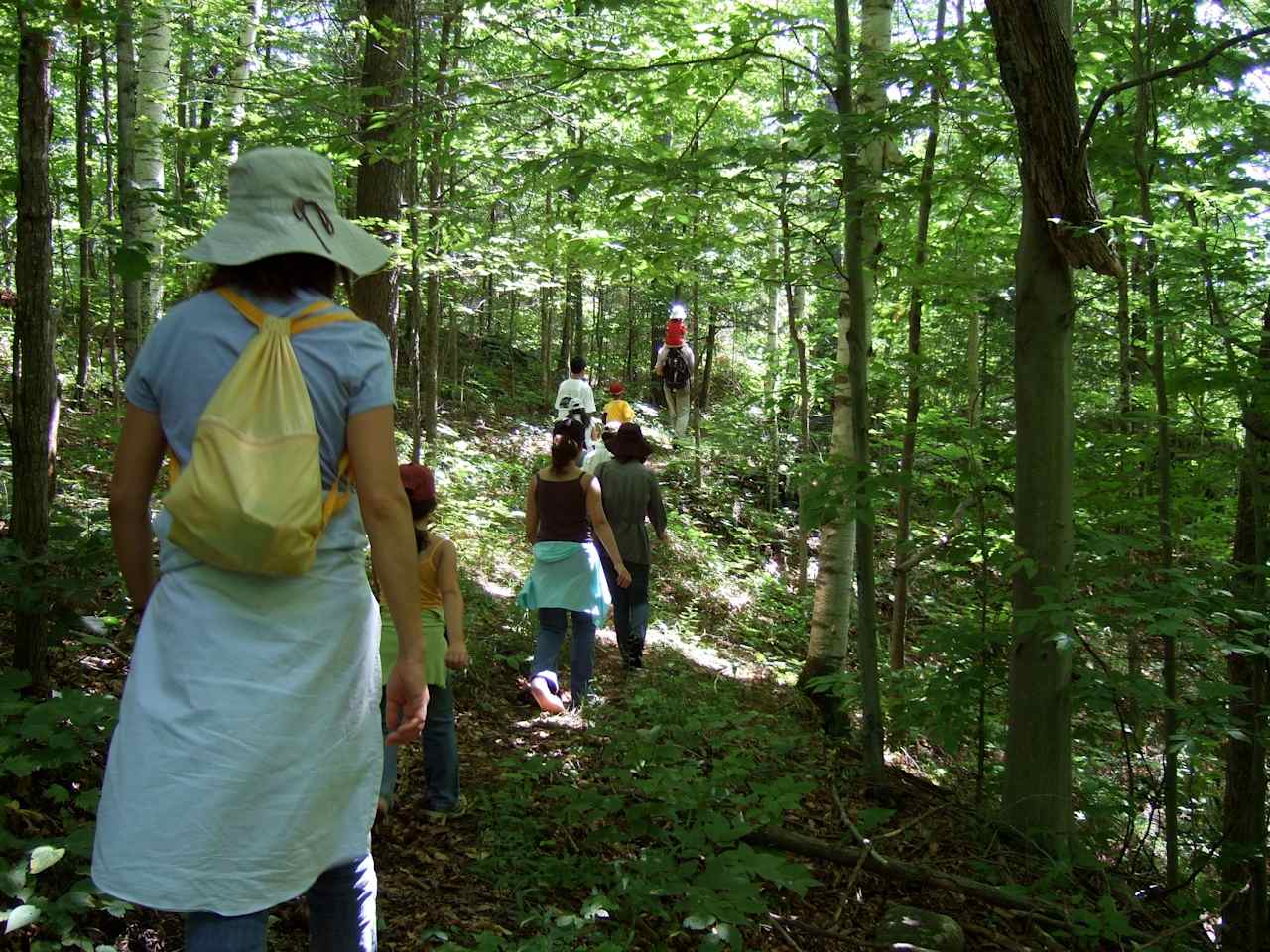 Wilderness Trails At Sumac