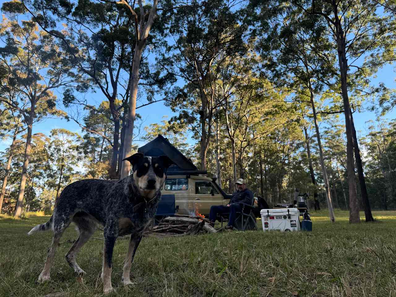 Camp Jolly Nose