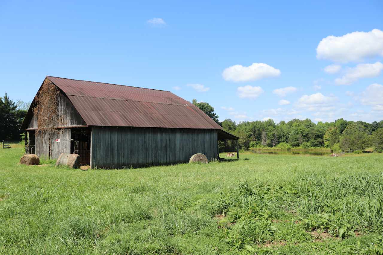 Lindsay Hills Farm