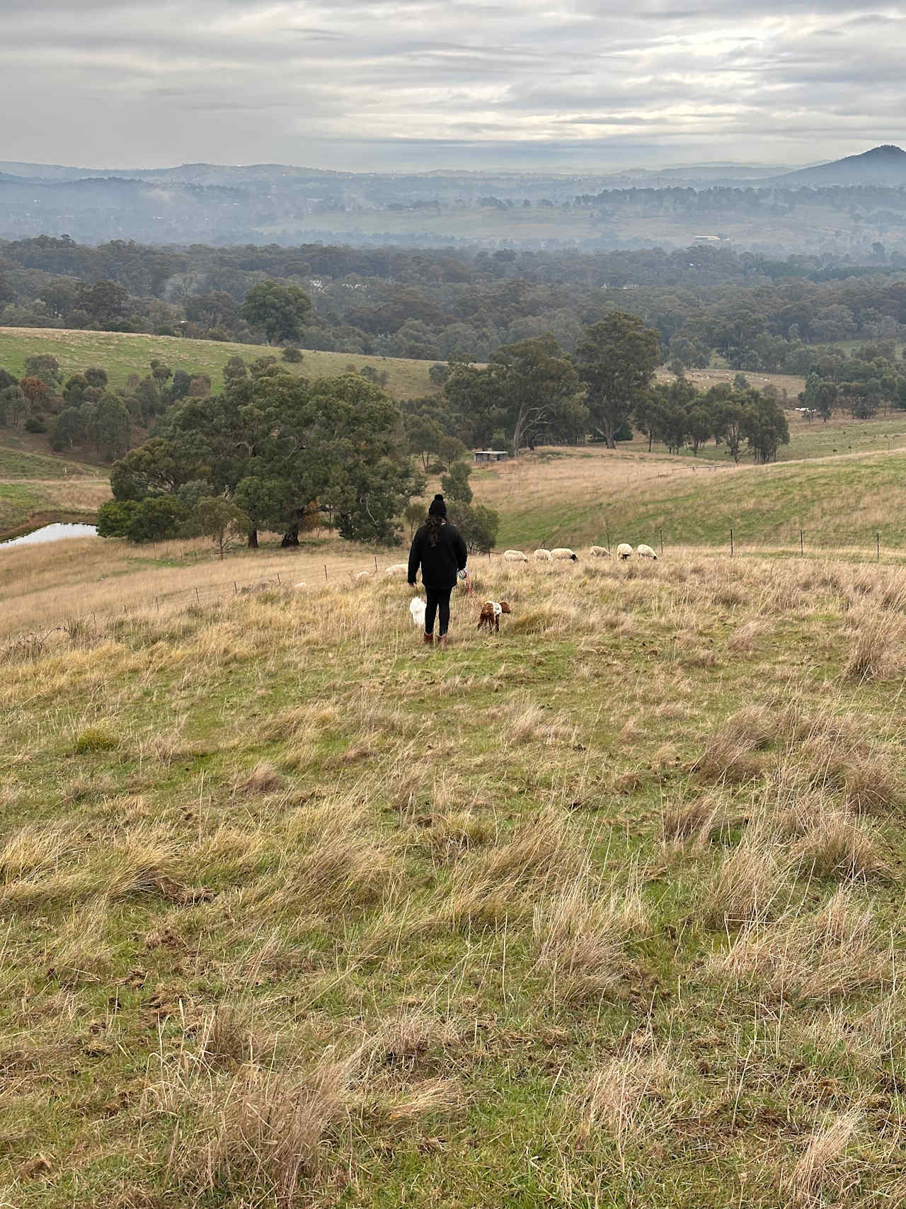 Chain of pond hills