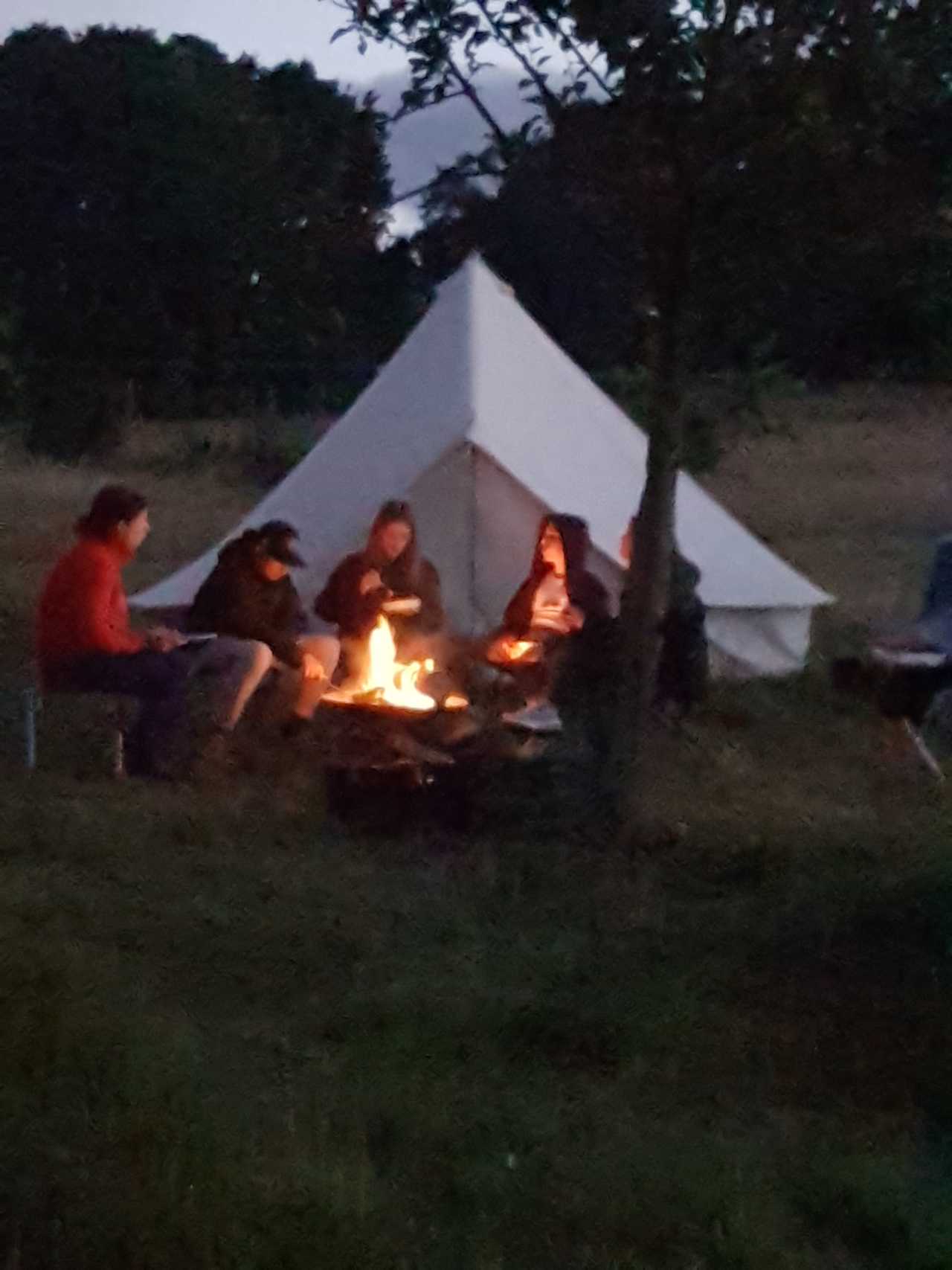 Plum Camping in May Tree Orchard