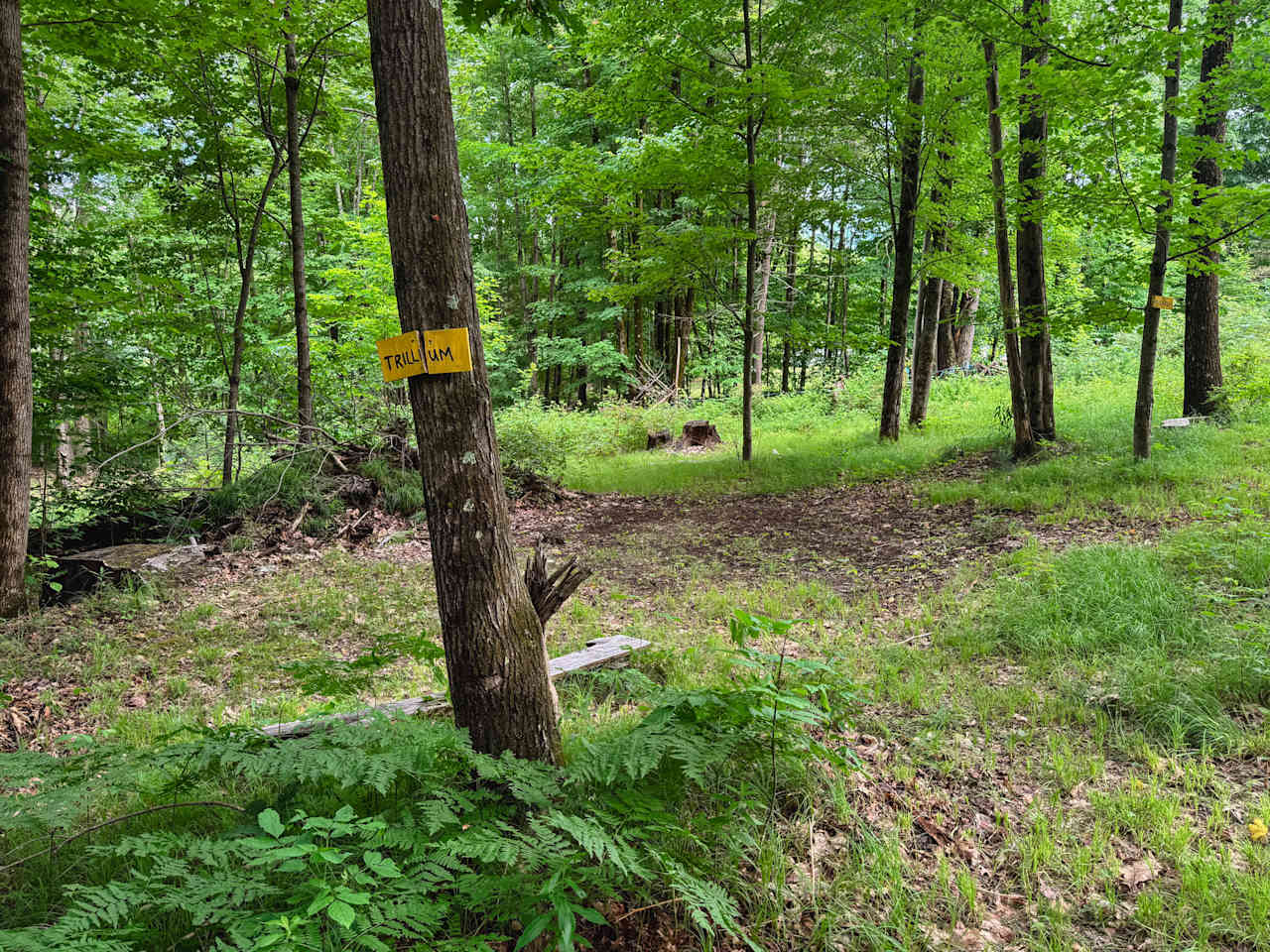 Meadow Lane Campground