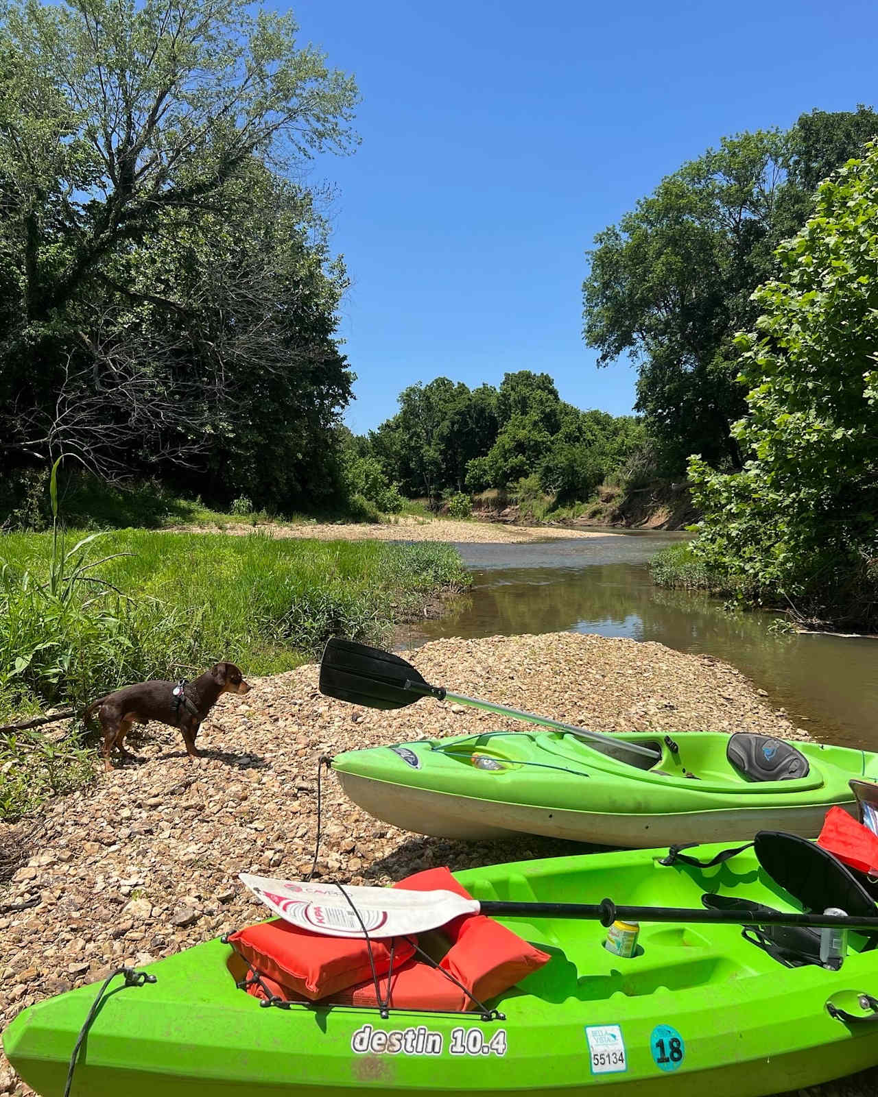 Illinois River Paradise | 60 Acres