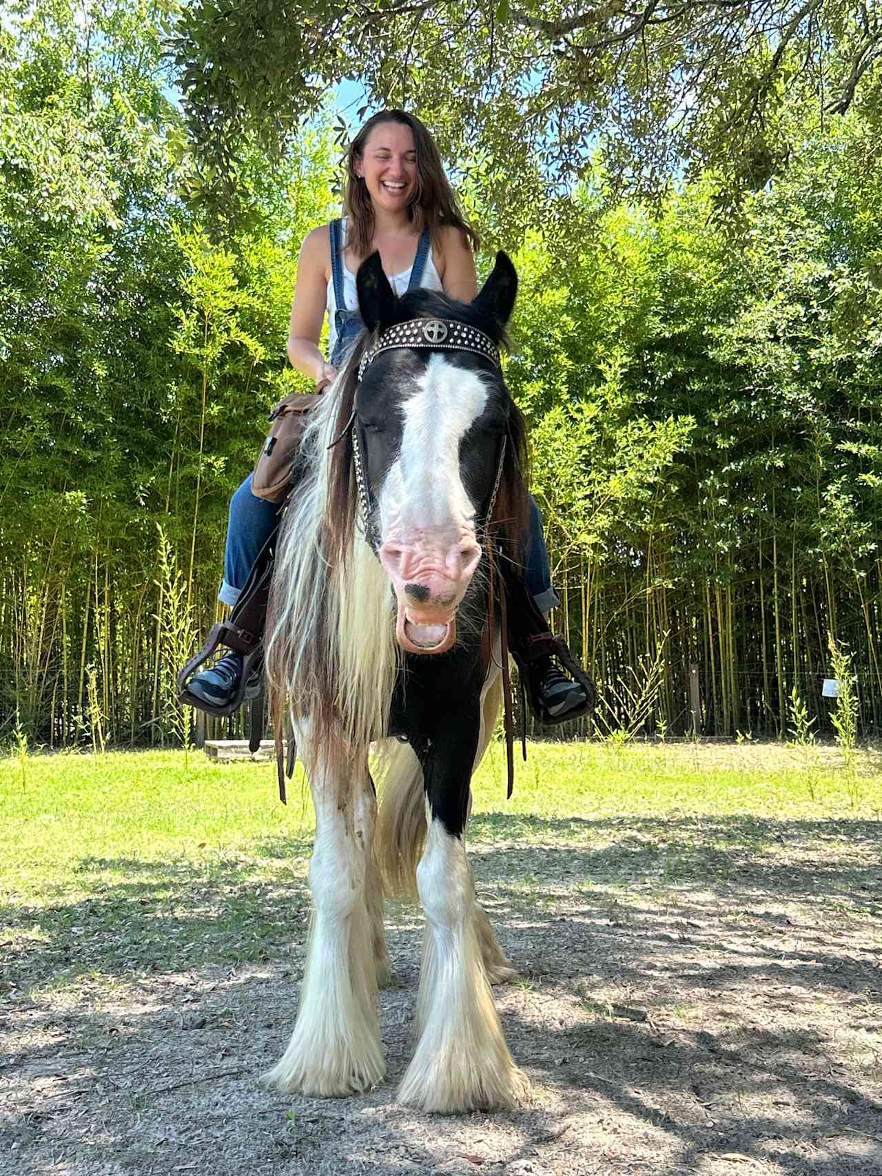 Bluewater Horse Ranch