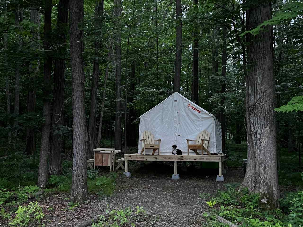 Tent and Bed - Gorge At South Hill