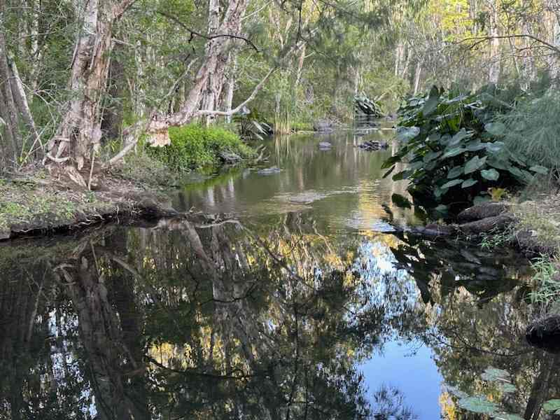 Crystal Brook Camping