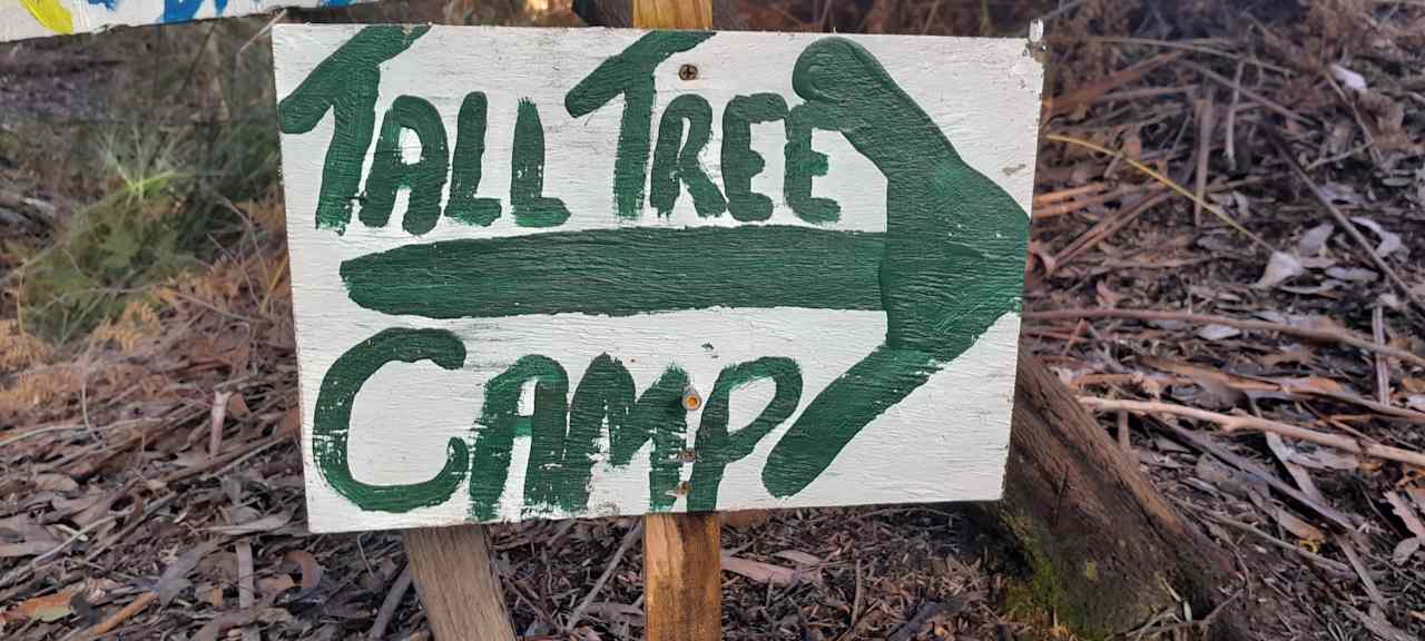 The path to The Tall Tree Camp