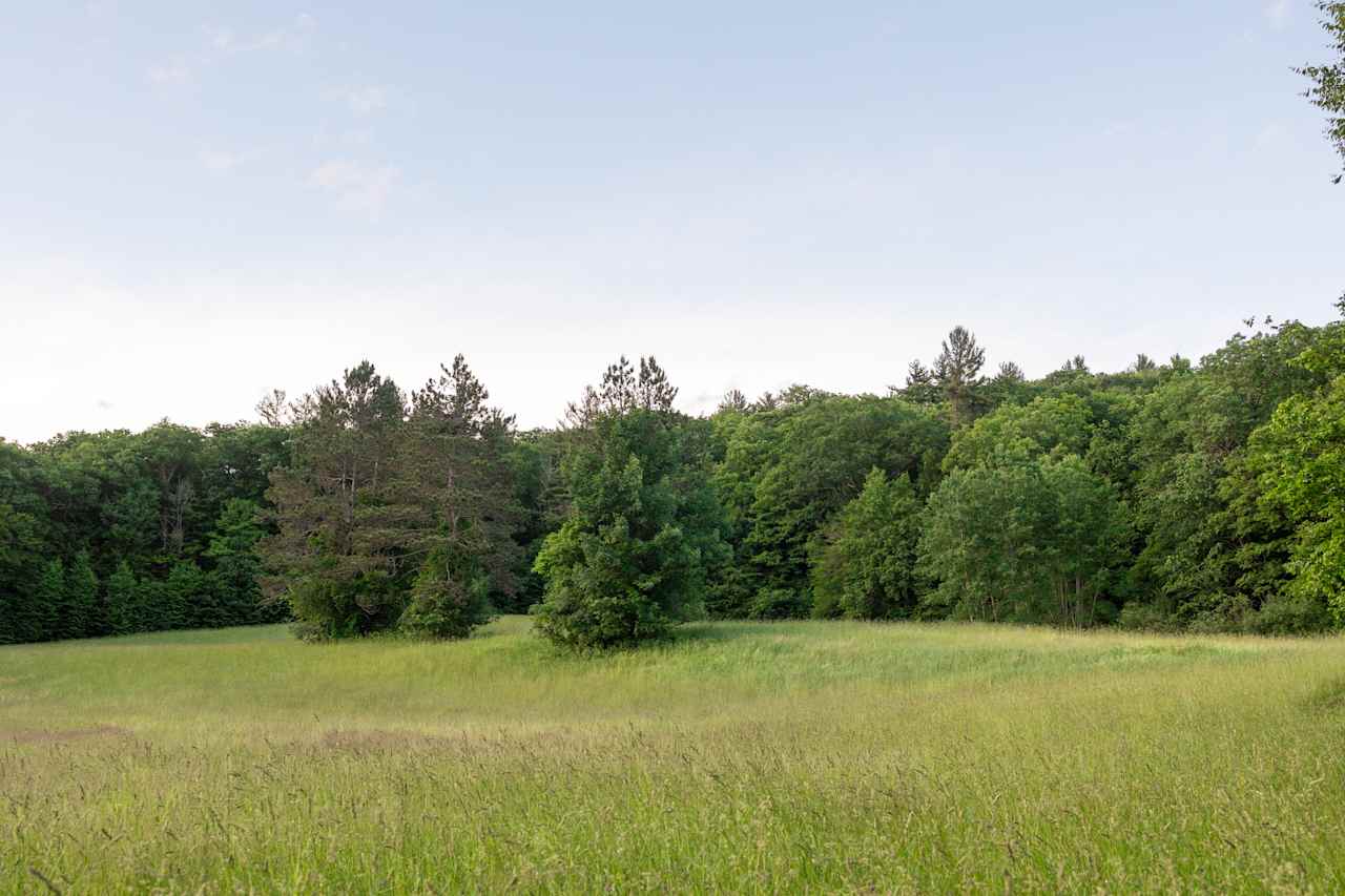 The site opens up to a meadow with beautiful views! 