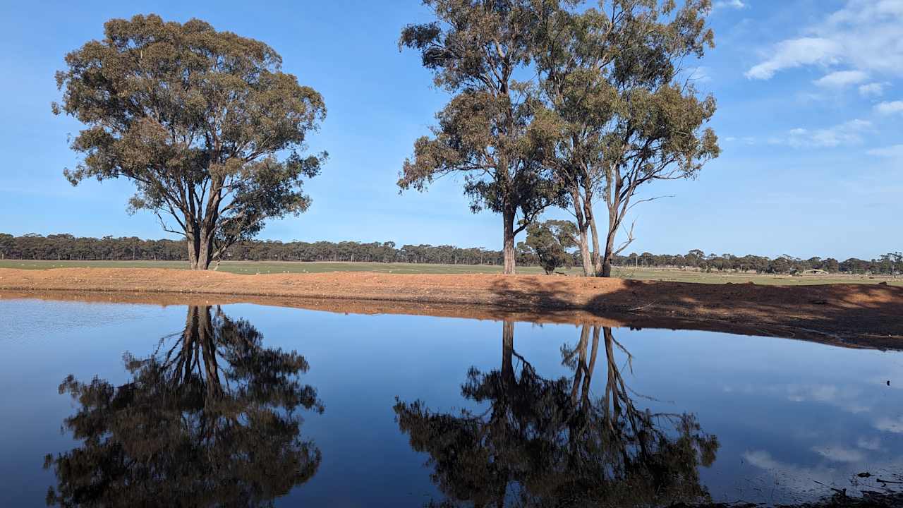 Sebastian Grasslands