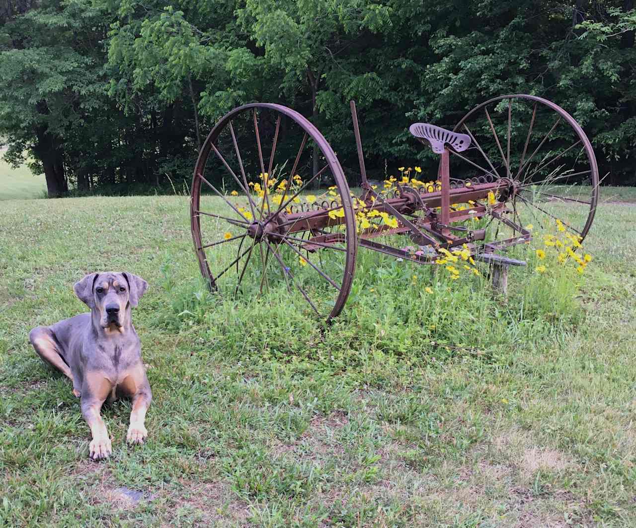 Marshall Creek Farm