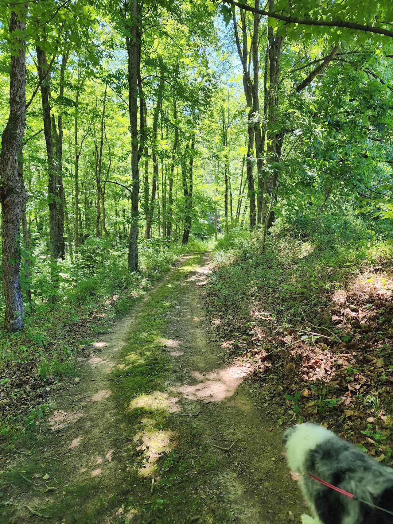 Buck Run RV Retreat