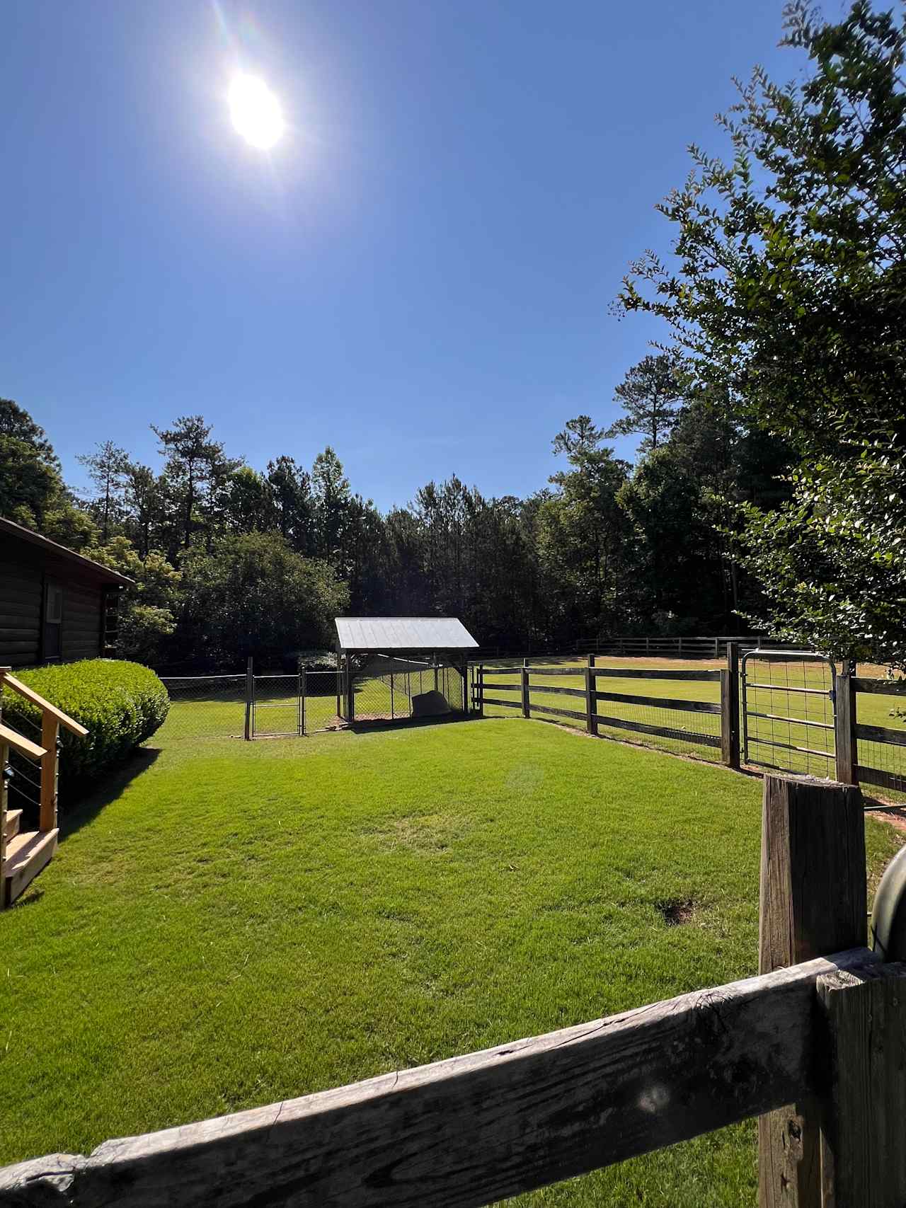 On The Farm