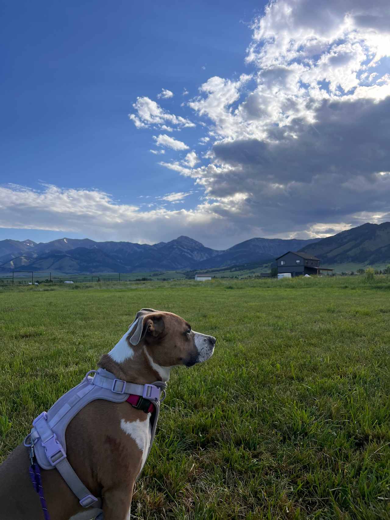 Bridger Foothills Camp