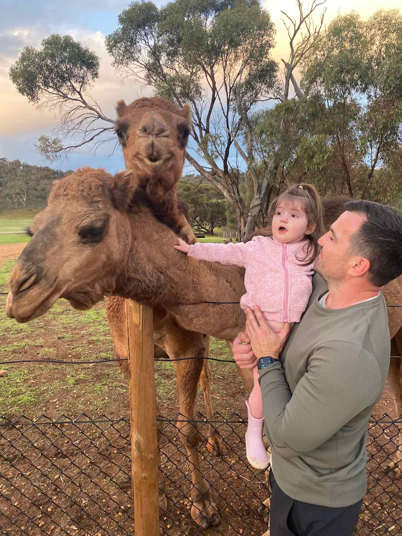 Sandalwood Downs  Farm Stay Toodyay