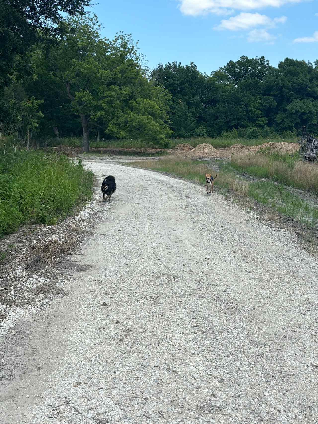 The PARK at Brushy Creek