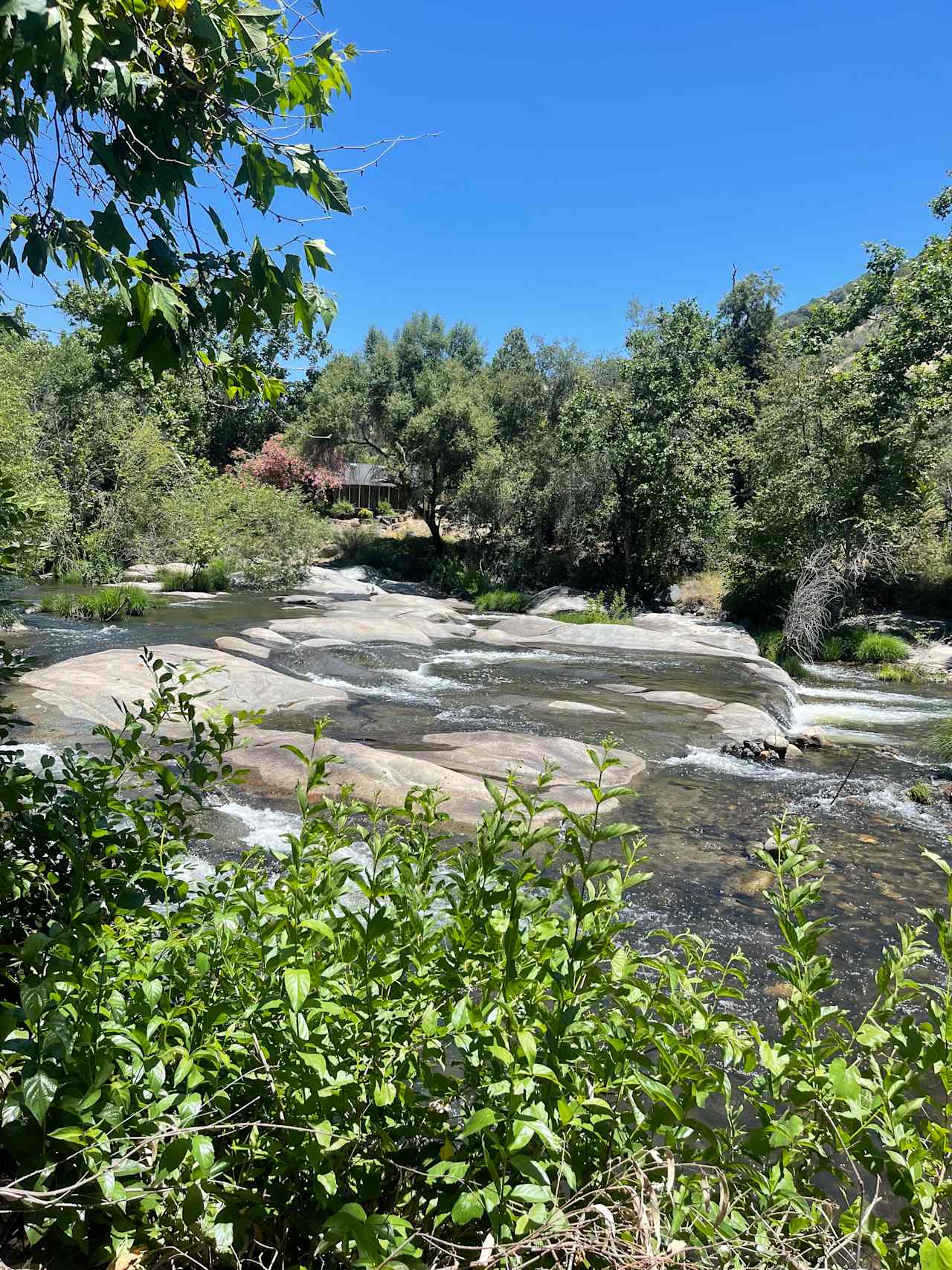 River of Dreams
