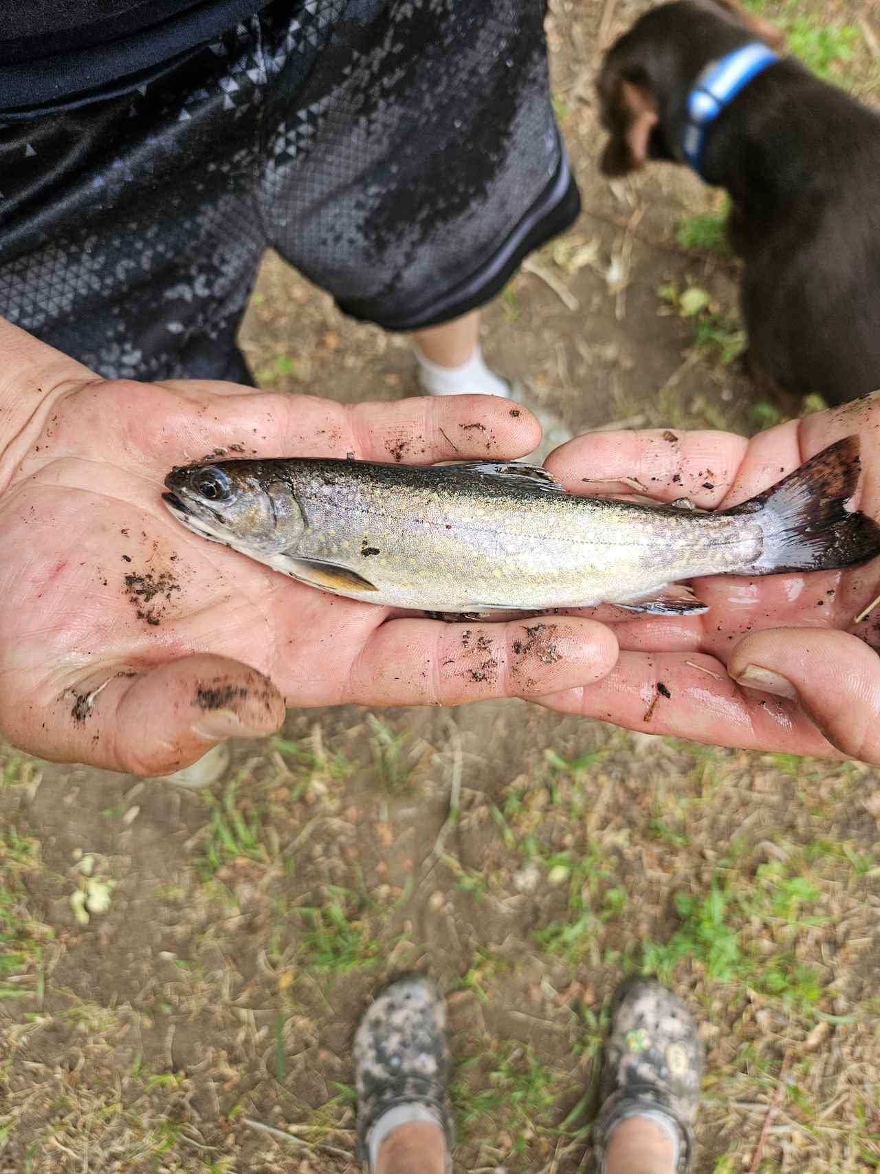 Turkey Creek Ranch