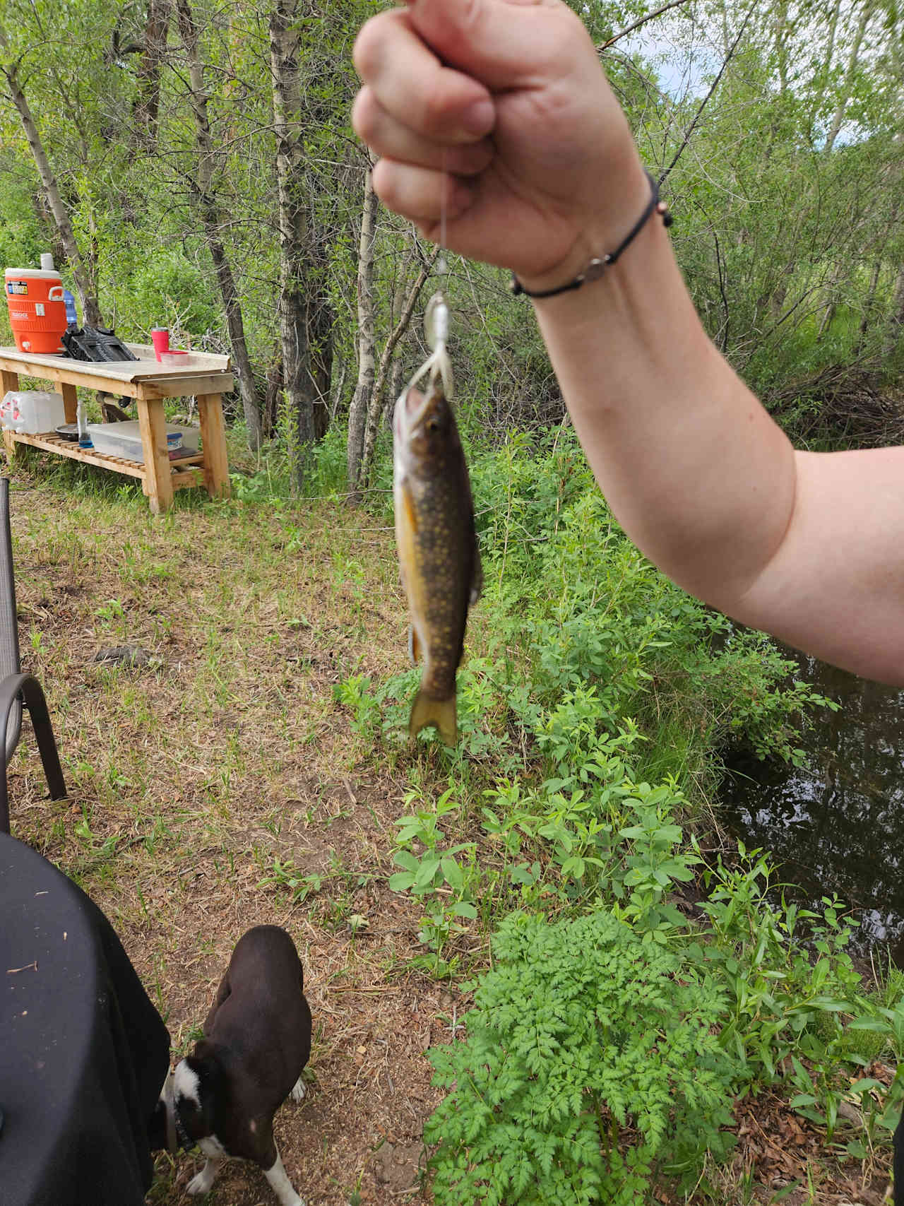 Turkey Creek Ranch