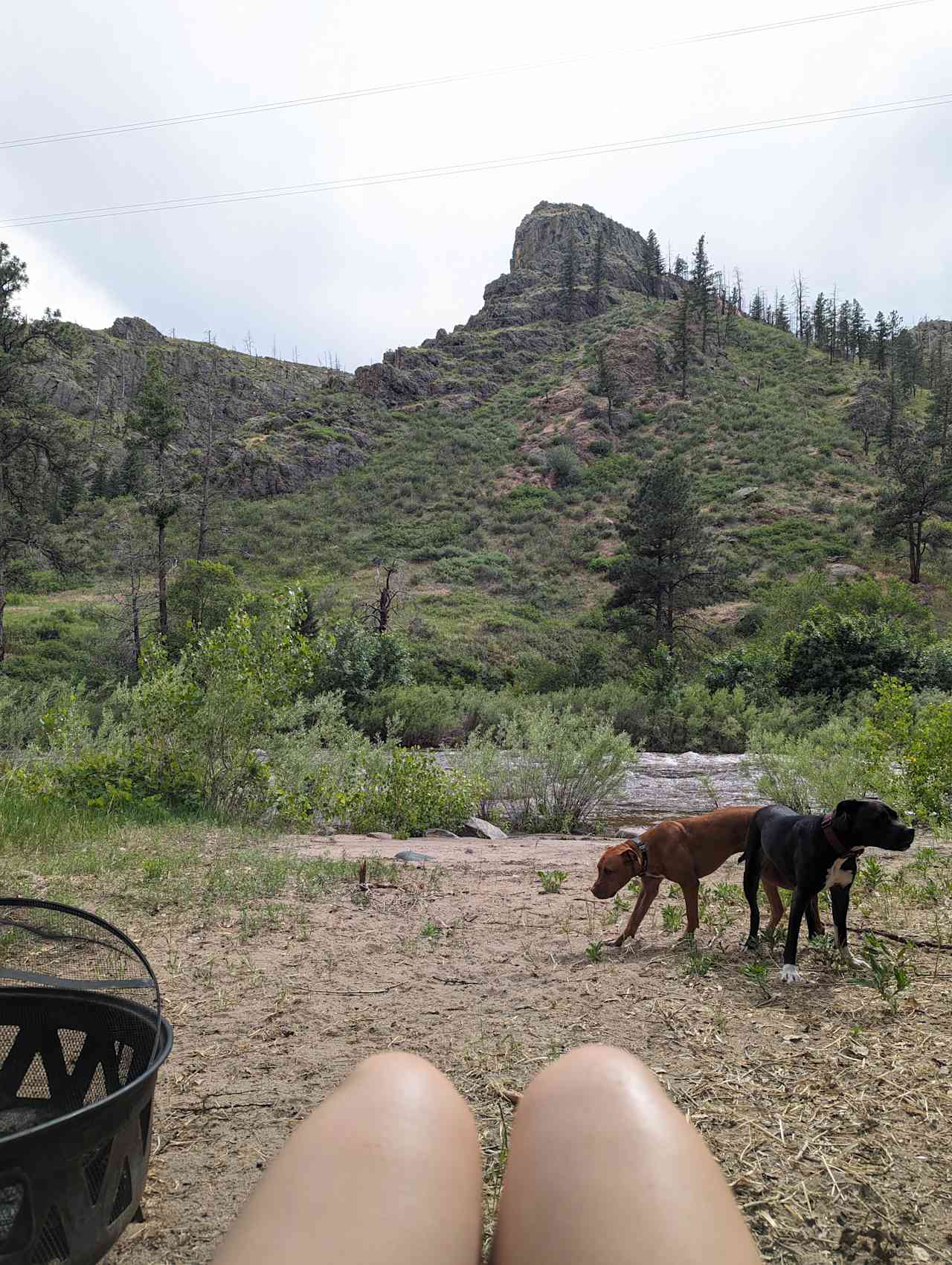 Basecamp On The Poudre