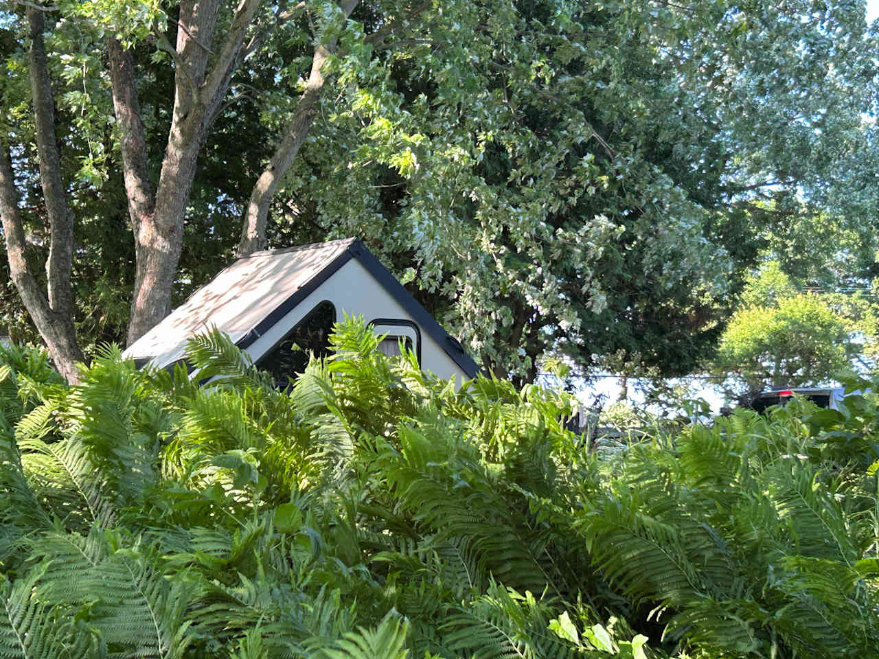 Urban Regenerative Gardens