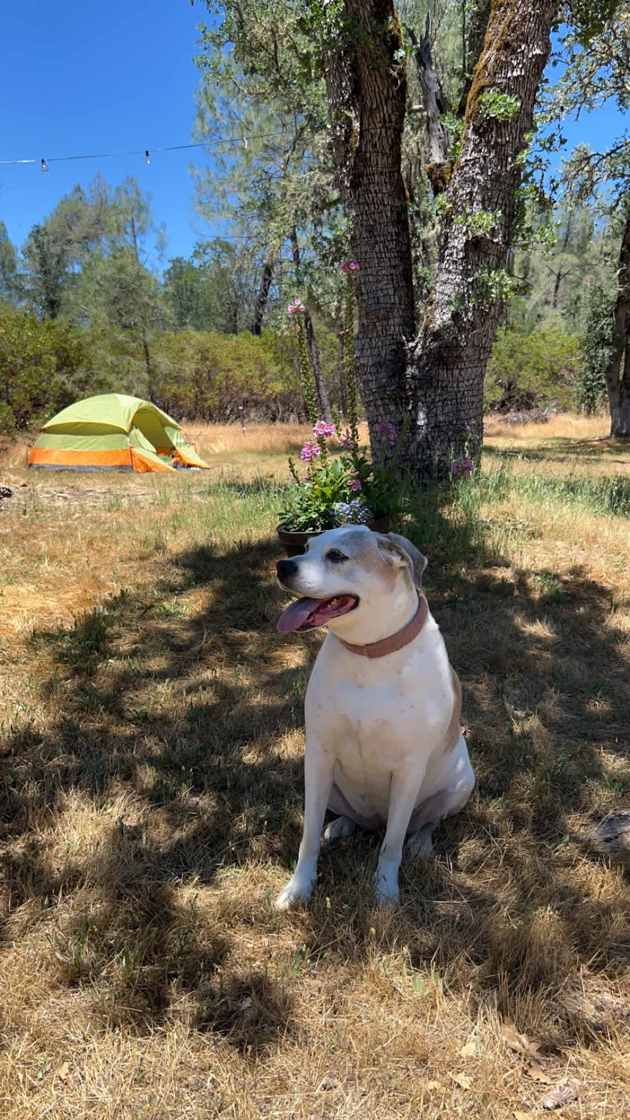 Quail Creek Ranch