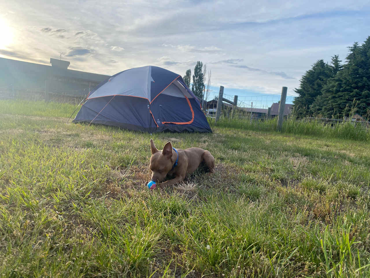 Glacier Acres Guest Ranch