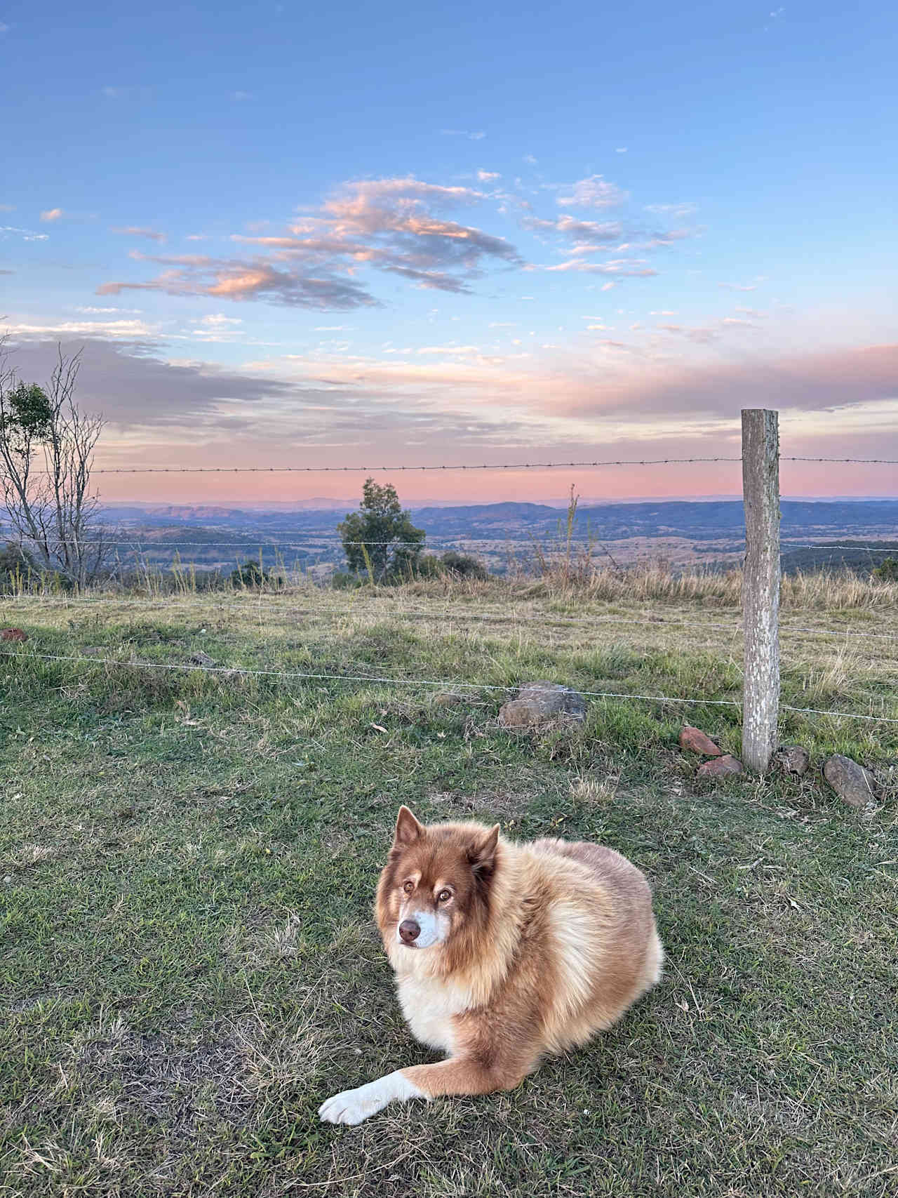 Hilltop Farm, Crows Nest