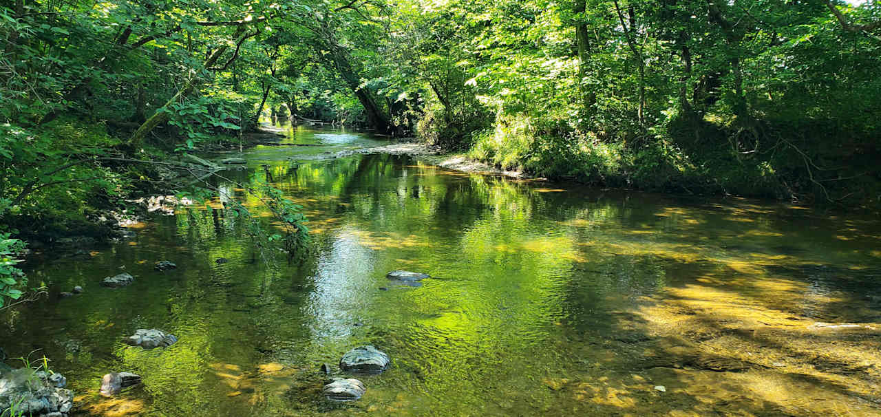 Shaded Creek RV Hookups