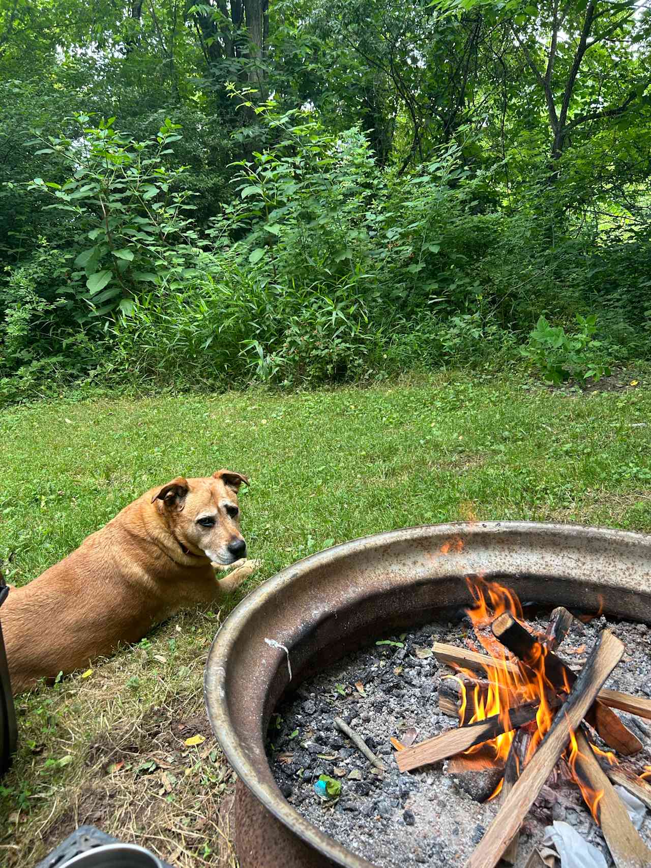 Birdhouse Farm Camp And Cabin