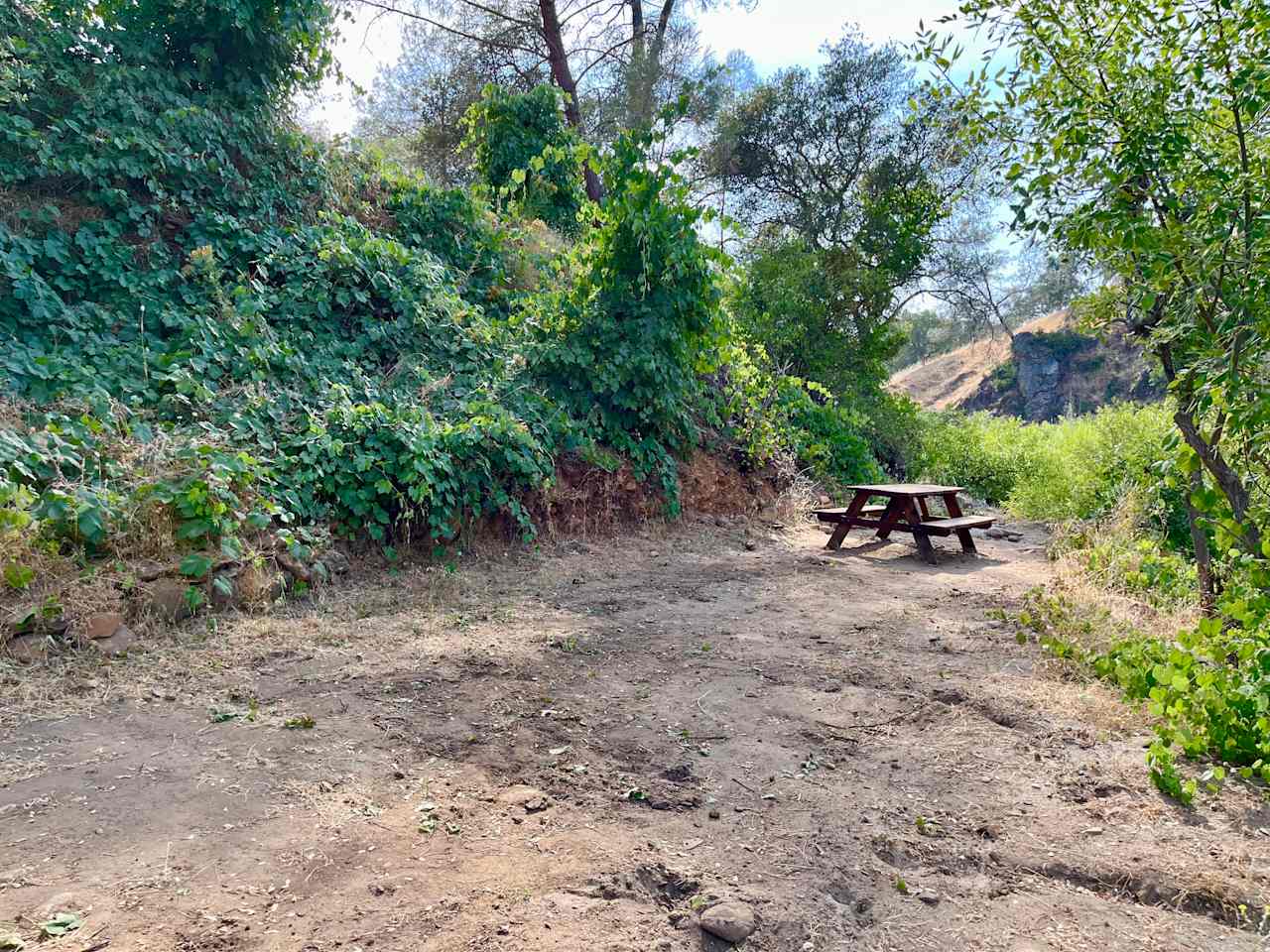 Cosumnes River Ranch
