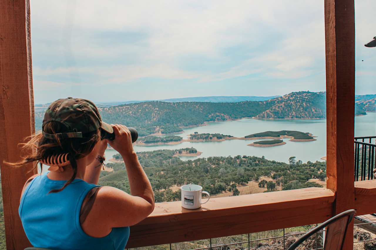 No shortage of bird watching over the lake