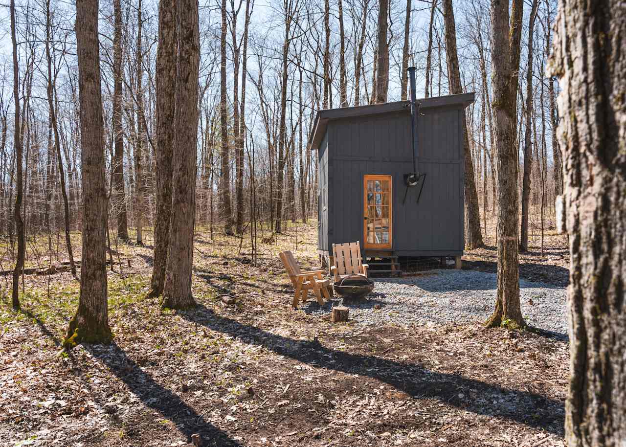 Off Grid Cabin in The Woods