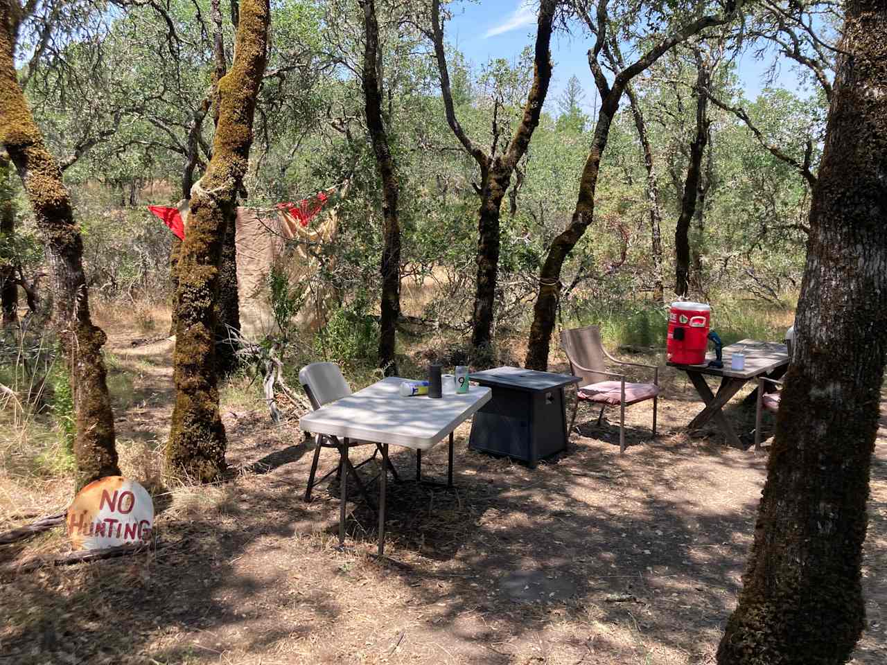 Whaleback Ridge Cabins & Camp